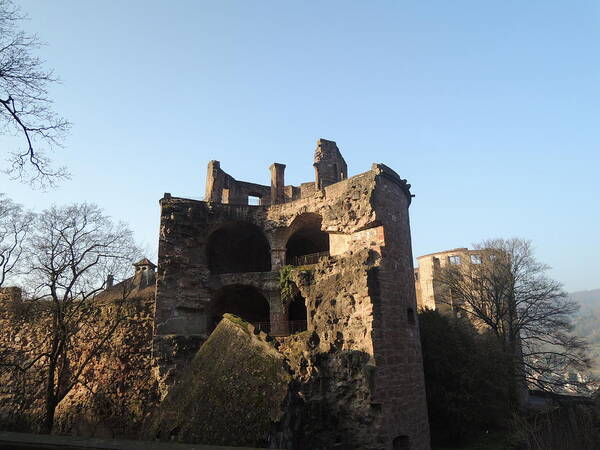 Heidelburg Castle Art Print featuring the photograph Heidelburg Castle by Helen Heng