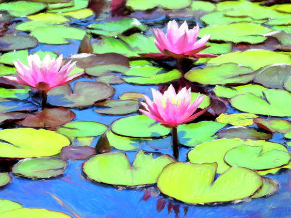 Lily Pond Art Print featuring the painting Lily Pond by Dominic Piperata