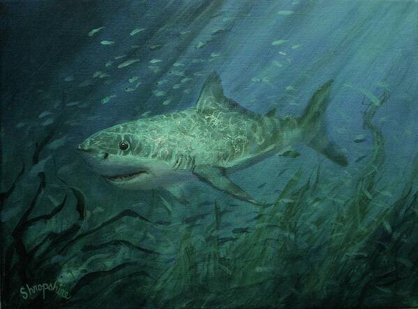 Shark Art Print featuring the painting Megadolon Shark by Tom Shropshire