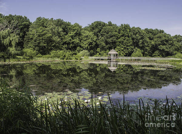 Landscape Art Print featuring the photograph Refection In The Pond by Arlene Carmel