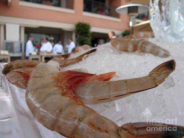 Shrimp Art Print featuring the photograph Shrimp On Ice by James B Toy
