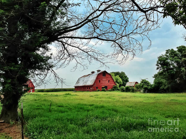 Red Barn Art Print featuring the photograph Stovall Farms in the Mississippi Delta by T Lowry Wilson