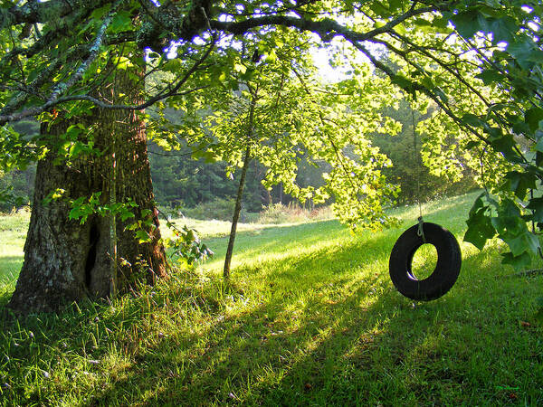 Trees Art Print featuring the photograph Tree and Tire Swing in Summer by Duane McCullough
