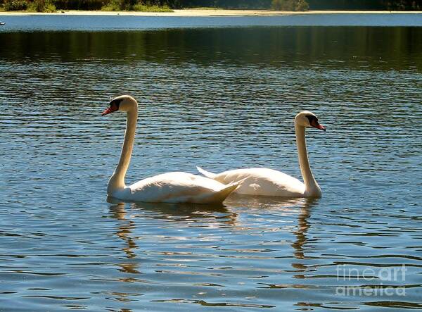 Lake Art Print featuring the photograph Mirror Image by Art Dingo