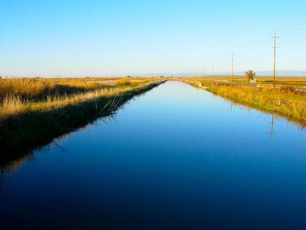 California Art Print featuring the photograph Biggs Canal by Suzanne Lorenz