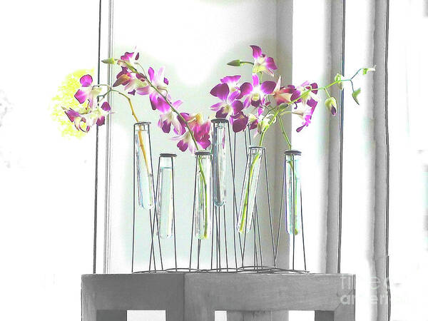 Flowers Art Print featuring the digital art Beverly Buds 2 by Karen Francis