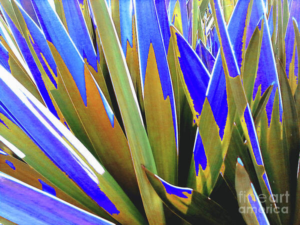 Plant Art Print featuring the photograph Plant Burst - Blue by Rebecca Harman