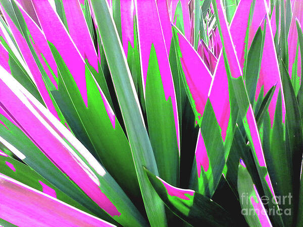 Nature Art Print featuring the photograph Plant Burst - Pink by Rebecca Harman