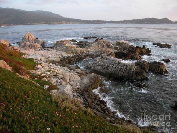 Carmel Art Print featuring the photograph Rugged Carmel Point by James B Toy