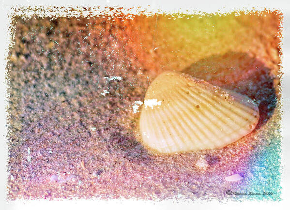 Beach Art Print featuring the photograph Shelling Out by Marvin Spates