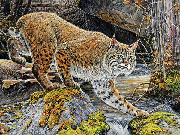 Bobcat Art Print featuring the painting Silent Caution by Steve Spencer