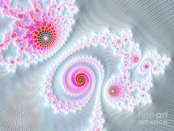 Dainty Pink and White Spirals by Elisabeth Lucas
