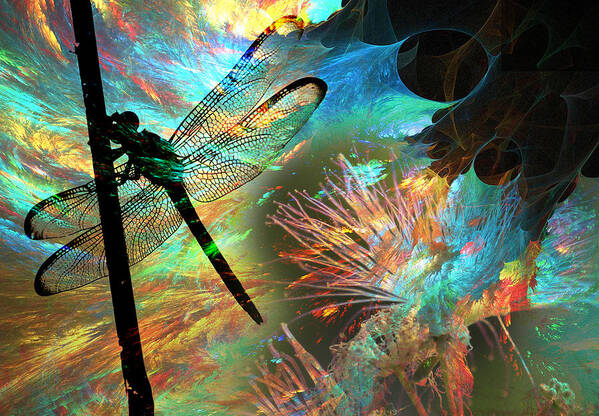 Dragon Fly Art Print featuring the photograph BloomFly by Greg Sharpe