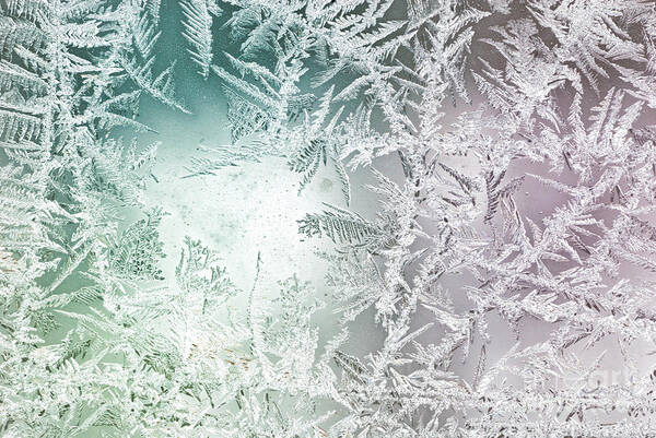 Cold Art Print featuring the photograph Frosty Windowpane by Amy Cicconi