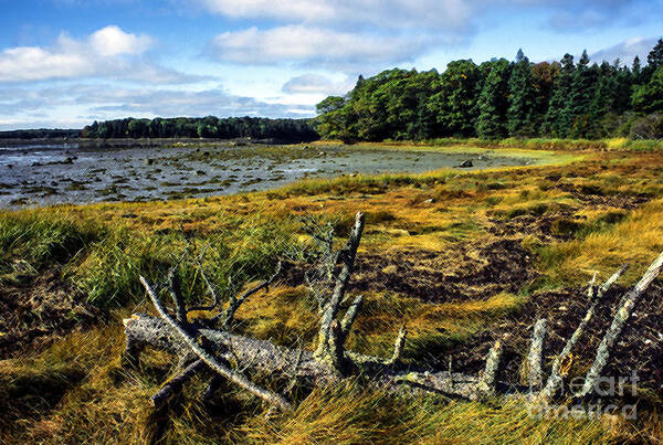 Deer Isle Art Print featuring the photograph Low Tide Reach Road by Thomas R Fletcher