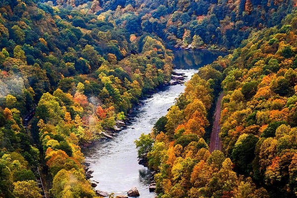 New River Art Print featuring the photograph New River Gorge by M Three Photos