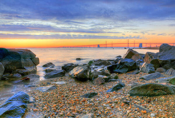 Chesapeake Art Print featuring the photograph Sandy by JC Findley