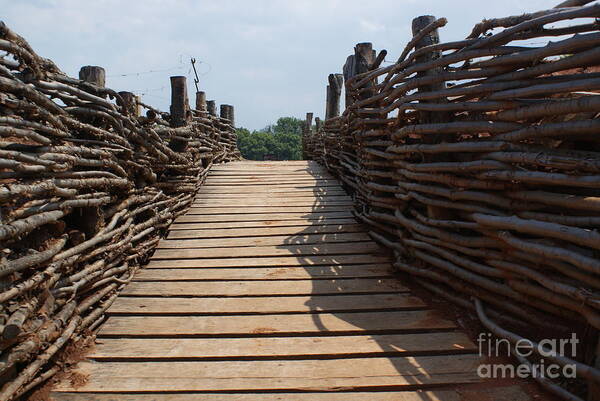 Photograph Art Print featuring the photograph War Path by M Three Photos