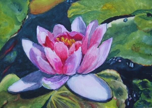 Floral Art Print featuring the painting Waterlily by Vicki Brevell