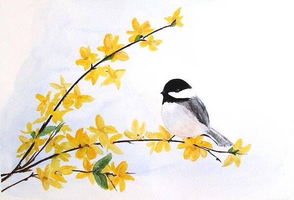 Chickadee Art Print featuring the painting Chickadee Spring by Sibby S