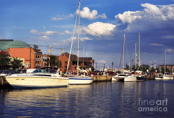 Ego Alley Art Print featuring the photograph Ego Alley Annapolis by Thomas R Fletcher