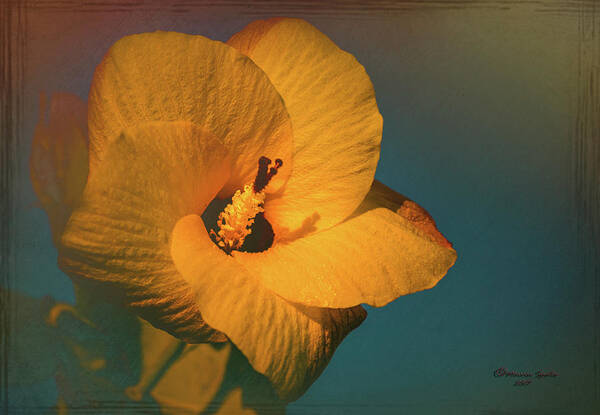 Hibiscus Art Print featuring the photograph Hibiscus by Marvin Spates