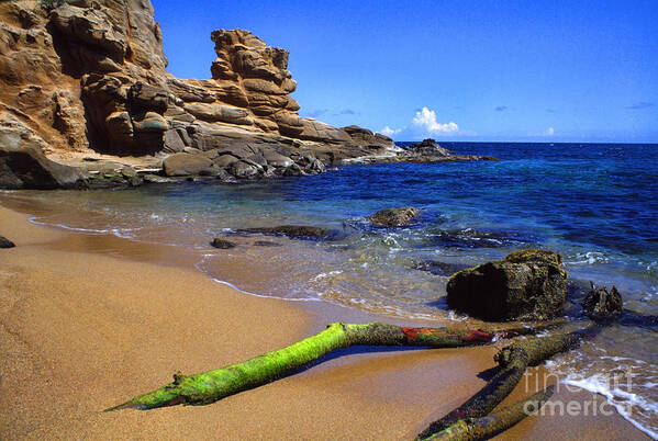 Puerto Rico Southeast Coast Toro Point Art Print featuring the photograph Puerto Rico Toro Point by Thomas R Fletcher