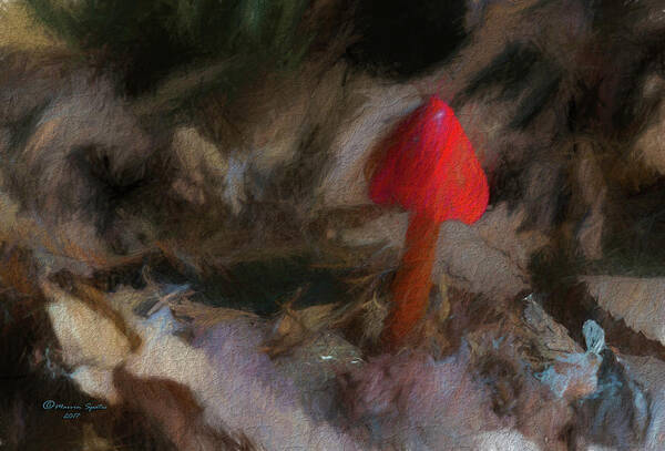 Poison Art Print featuring the photograph Red Forest Mushroom by Marvin Spates