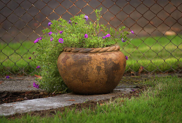 Landscapes Art Print featuring the photograph Rope Pot Flowers by Arthur Fix