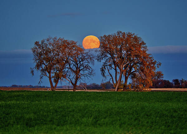 Hunters Moon Art Print featuring the photograph October Hunter's Moon rises above cloud bank in rural ND #1 of 2 by Peter Herman