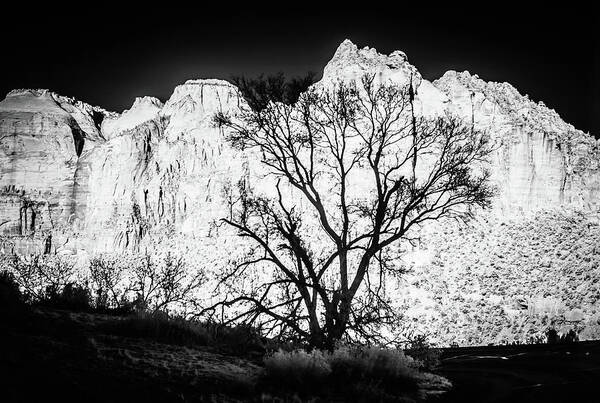Cosina/voigtlander Nokton Classic 35mm F1.4 Sc Art Print featuring the photograph Zion National Park, infrared by Eugene Nikiforov