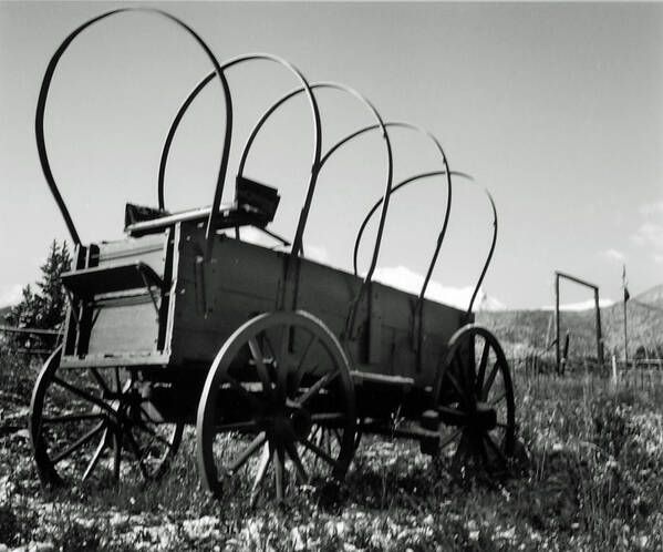 Old West Art Print featuring the photograph Out to Pasture by Allan McConnell