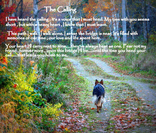 Quotes Art Print featuring the photograph The Calling by Sue Long