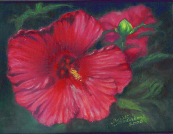 Painting Rose Mallow Art Print featuring the painting Abby Rose's Mallow by Harriett Masterson