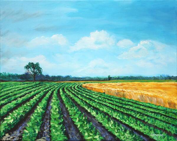 Mississippi Art Print featuring the painting Delta Soybeans and Wheat by Karl Wagner
