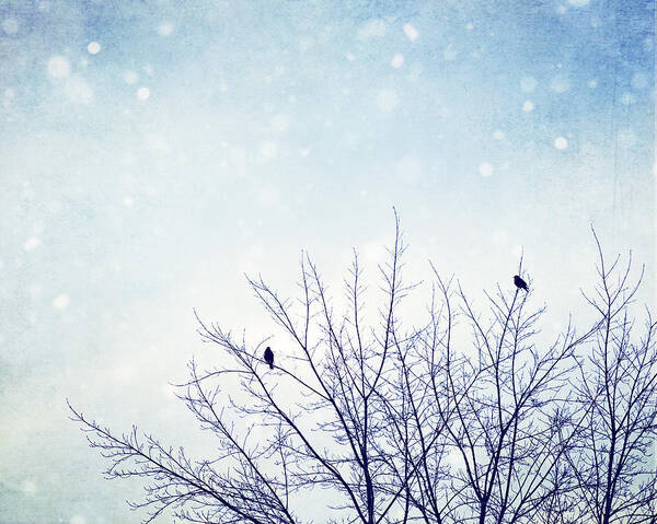 Winter Art Print featuring the photograph First SnowFall by Carolyn Cochrane