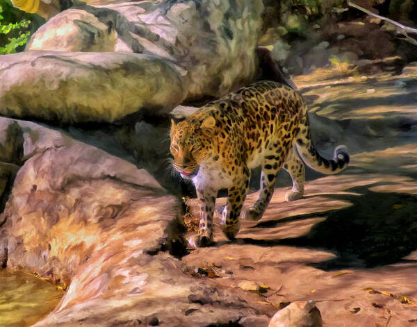 Amur Leopard Art Print featuring the painting Leopard by Michael Pickett