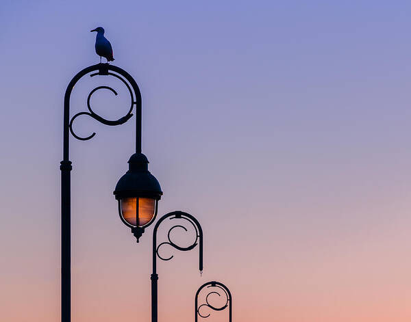Sunset Art Print featuring the photograph Sentinel At Sunset by Steve Stanger