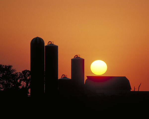 Farm Sunset Art Print featuring the photograph Goodoboy's Sunset by Garry McMichael