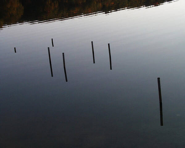  Art Print featuring the photograph abstract at Hook's Creek Pond by Robert Hopkins