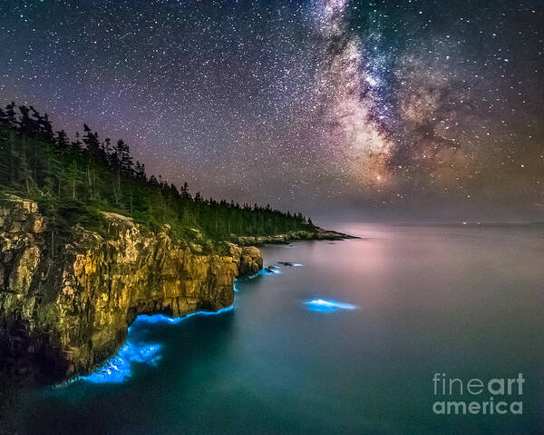 Acadia National Park Art Print featuring the photograph Bioluminescense by Benjamin Williamson