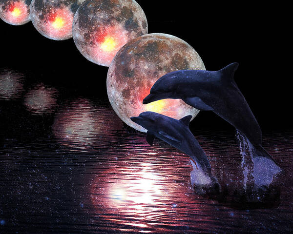 Moonlight Art Print featuring the digital art Dolphins in the moonlight by Sandra Selle Rodriguez