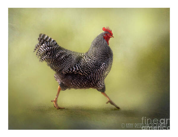 Rooster Art Print featuring the photograph Strutting that Stuff by Kathy Russell