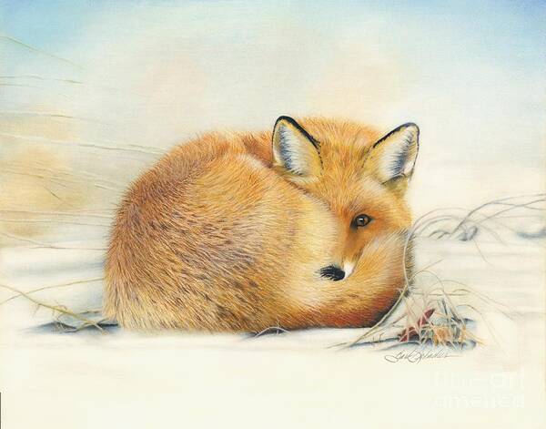Fox Art Print featuring the pastel Foxy by Barby Schacher