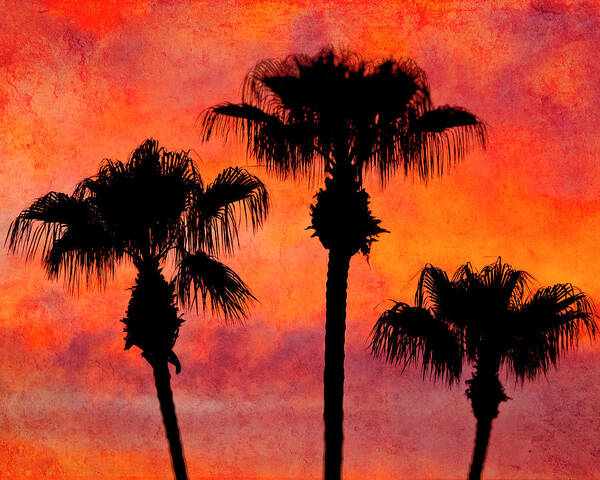 Palm Springs Art Print featuring the photograph Three Palms by Sandra Selle Rodriguez