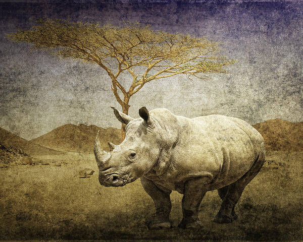 White Rhinoceros Art Print featuring the digital art White Rhinoceros by Sandra Selle Rodriguez