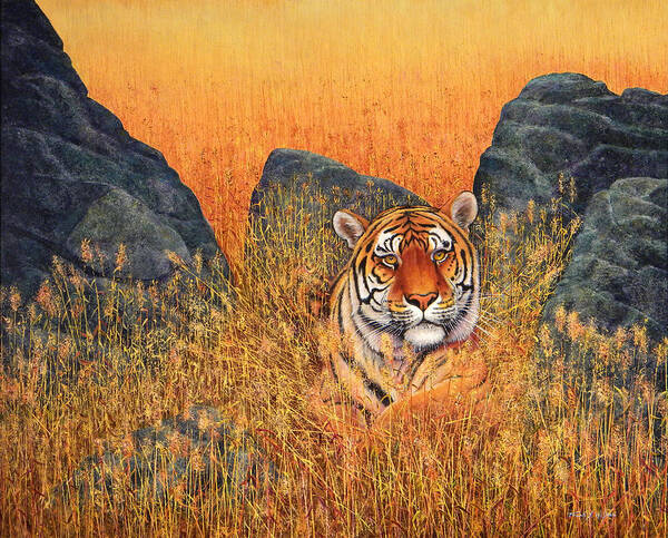 Tiger Art Print featuring the painting Tiger At Rest #2 by Frank Wilson