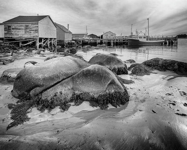 Canada Art Print featuring the photograph Hunt's Point, Nova Scotia harbour by Murray Rudd