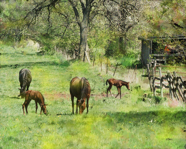 Spring Colts Art Print featuring the digital art Spring Colts by Studio B Prints