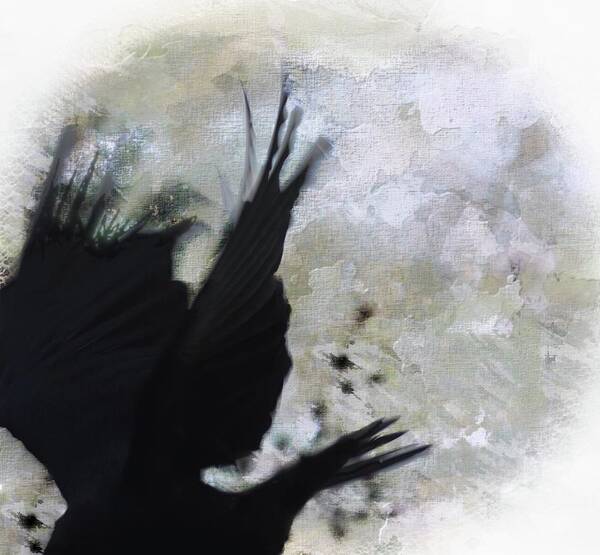  Art Print featuring the photograph Crow Fly by Stoney Lawrentz